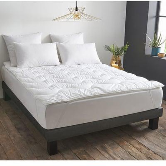 Surmatelas Gonflant Durable - Coton Bio - Théodore