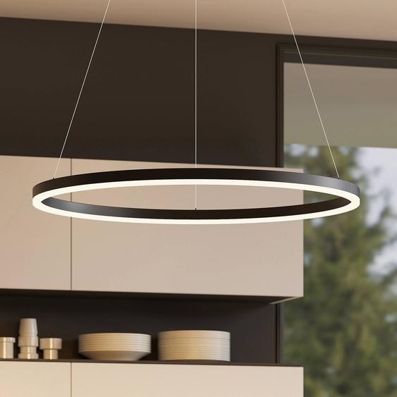 Suspension LED Albiona Arcchio, dimmable, noir, Cuisine, Métal, Moderne
