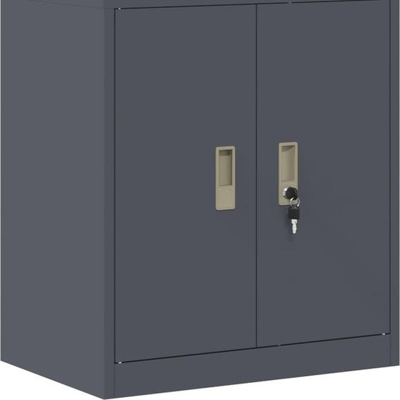 Armoire de rangement Anthracite 60 x 40 x 70 cm Acier