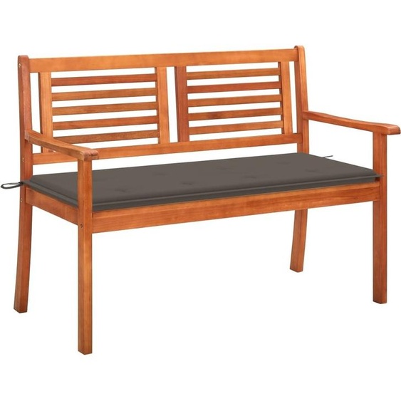 SYFAX™ Banc de jardin 2 places avec coussin 120 cm Bois deucalyptus
