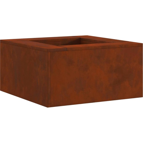 Foyer de cheminée Marron 80 x 80 x 40 cm Acier patiné