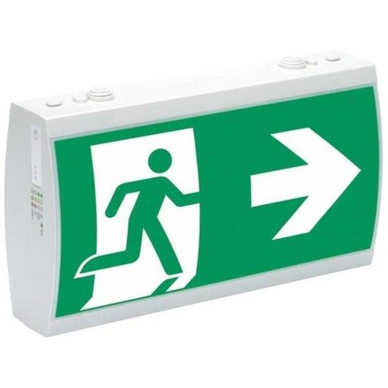 Systèmes déclairage de secours Ceag Luminaire à pictogramme à LED RAL7035 IP41 SV EURO 2-3/D LED
