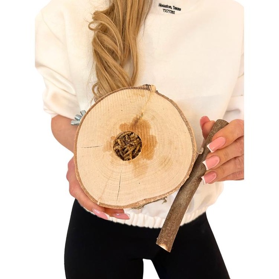 Table de bouleau avec larves daleurodes - pour perroquets de petite et moyenne taille