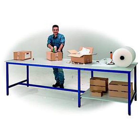 Table de travail multiservices - 300 x 100 cm - 6 pieds
