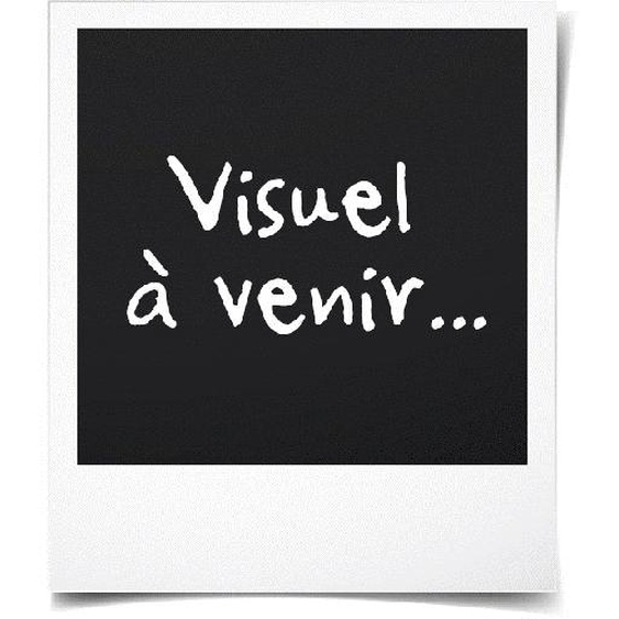 Table Inox Centrale Avec Etagère Soudée - Gamme 700 - Combisteel - 1300x700 700