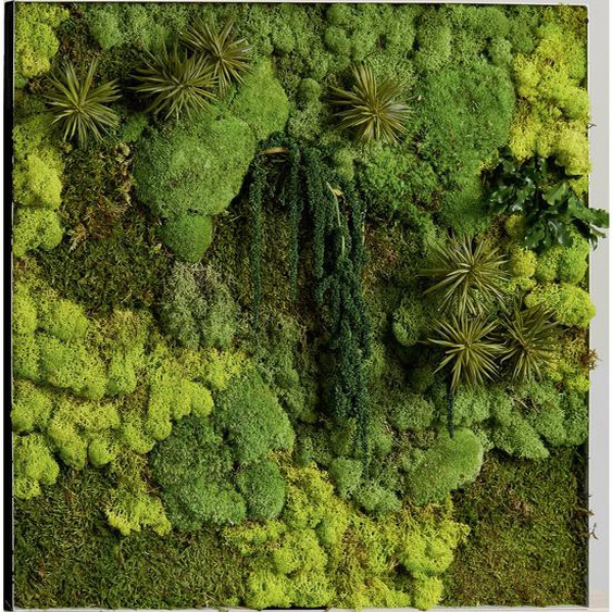Tableau végétal de décoration - Mousse de Finlande stabilisée et 100% naturelle - Cadre carré noir