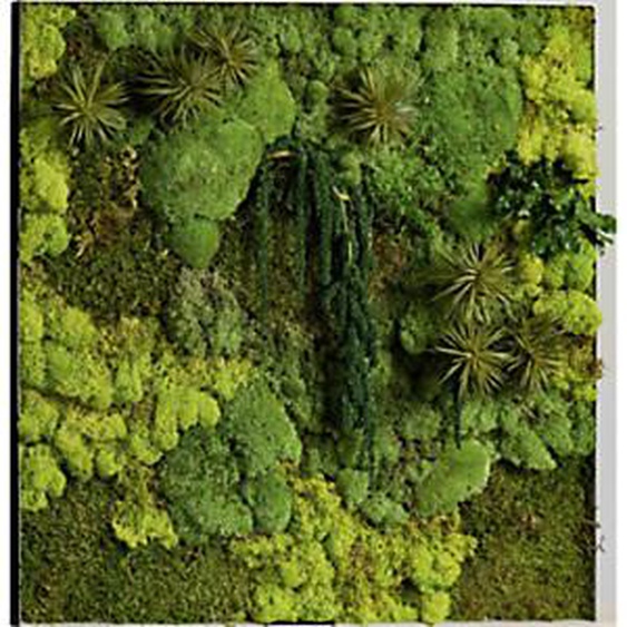 Tableau végétal de décoration - Mousse de Finlande stabilisée et 100% naturelle - Cadre carré noir