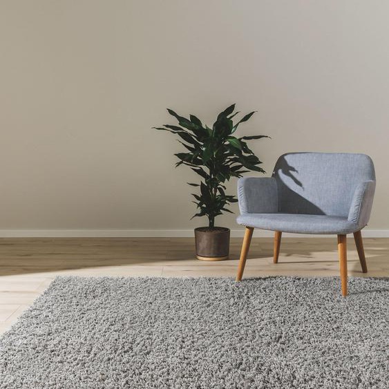 Tapis shaggy à poils longs Soho Gris clair 300x400 cm - Tapis doux pour salon