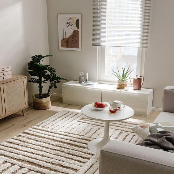 Tapis shaggy à poils longs Tibo Crème/Beige 120x170 cm - Tapis doux pour salon