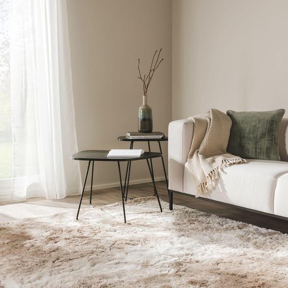 Tapis shaggy à poils longs Whisper Beige/Marron clair 160x230 cm - Tapis doux pour salon