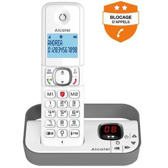 Téléphone sans fil F860 Voice Grey