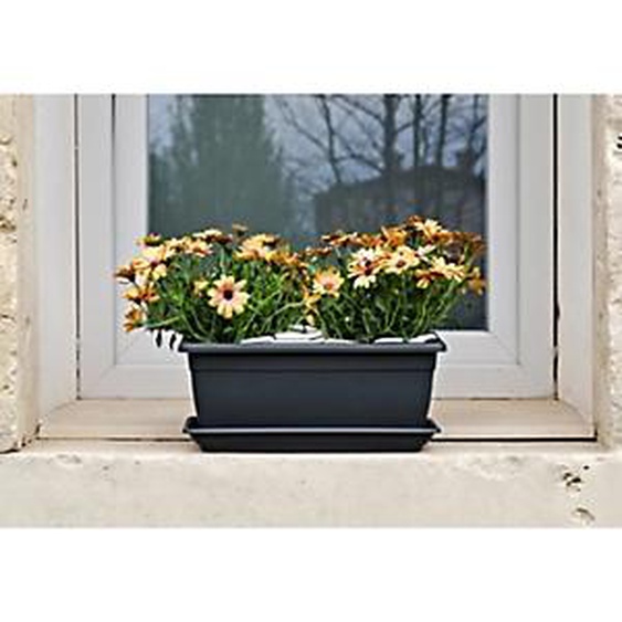 TERA Jardinière Nara, largeur: 1.000 mm, anthracite