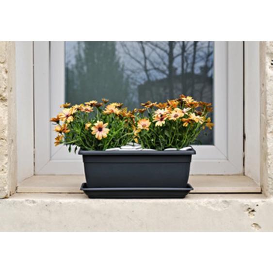 TERA Jardinière Nara, largeur: 1.000 mm, anthracite
