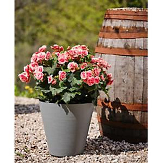 TERA Pot de fleurs Hoop, diamètre: 250 mm, black