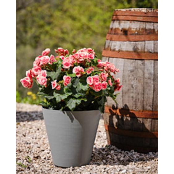 TERA Pot de fleurs Hoop, diamètre: 250 mm, black