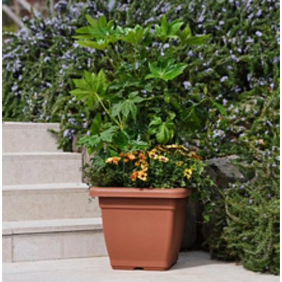 TERA Pot de fleurs Nazca, largeur: 390 mm, anthracite