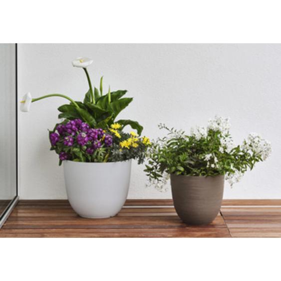 TERA Pot de fleurs Over, diamètre: 280 mm, sable