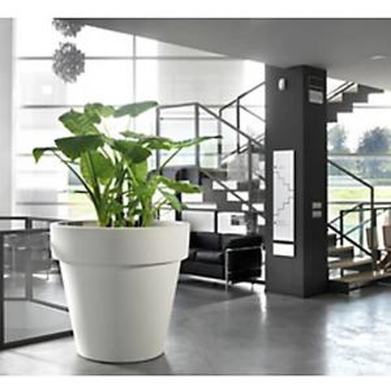TERA Pot de fleurs Standard One 50, antracite