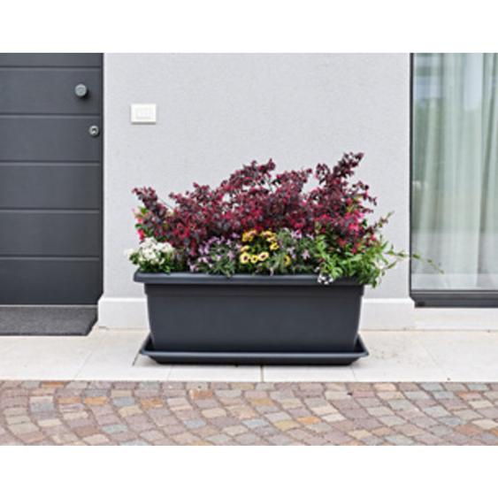 TERA Soucoupe Tikal, largeur: 960 mm, anthracite
