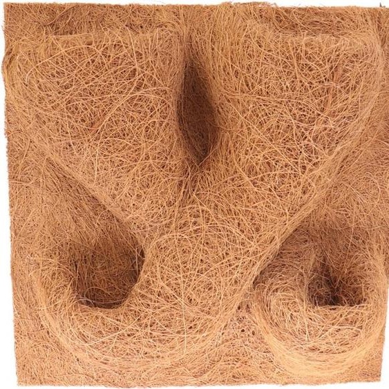 Terrario CocoBackgroud 30x30 - Terrario fond de noix de coco