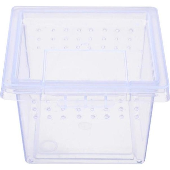 Terrario Insect Box Mini - terárium pro hmyz 6,5 x 6,5 x 4,5 cm Terrario