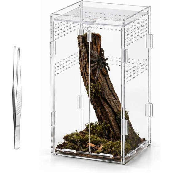 Terrarium en acrylique pour les araignées sauteuses, dimensions 12x12x20 cm, comprenant une pince, idéal pour les reptiles et les amphibiens