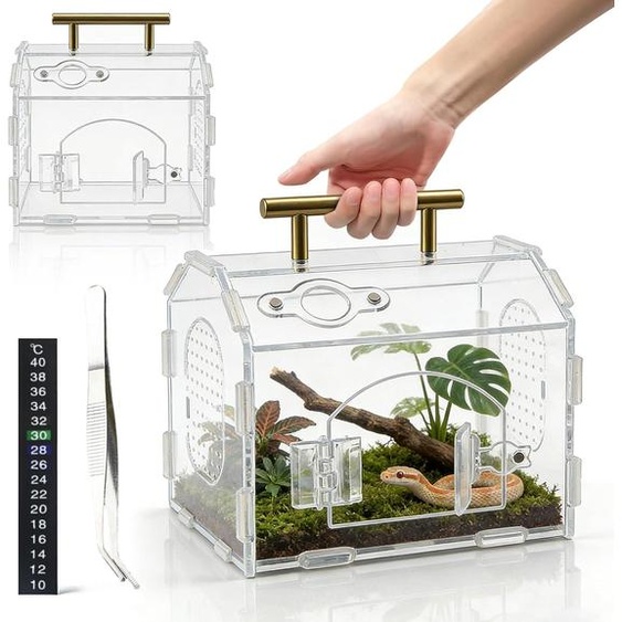 Terrarium en acrylique transparent, dimensions 20 x 12 x 12 cm, avec poignée, pour reptiles