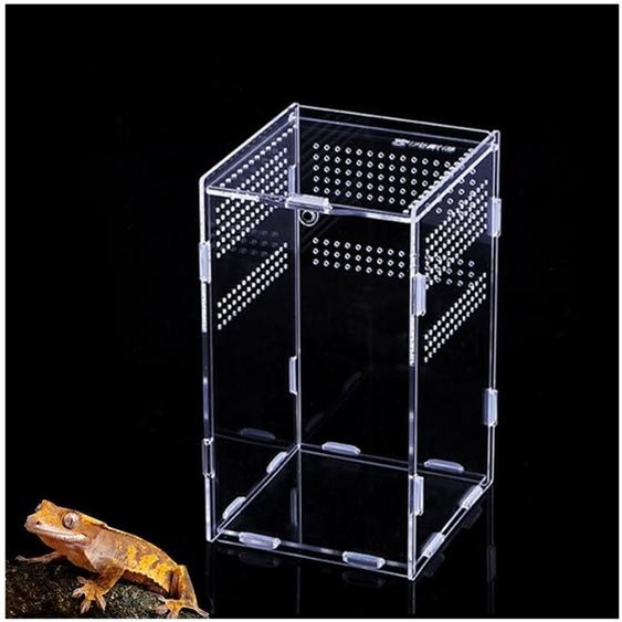 Terrarium en acrylique transparent pour reptiles et insectes