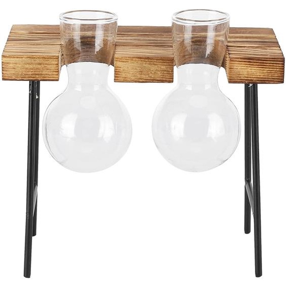 Terrarium en verre pour plantes aériennes, avec support en bois