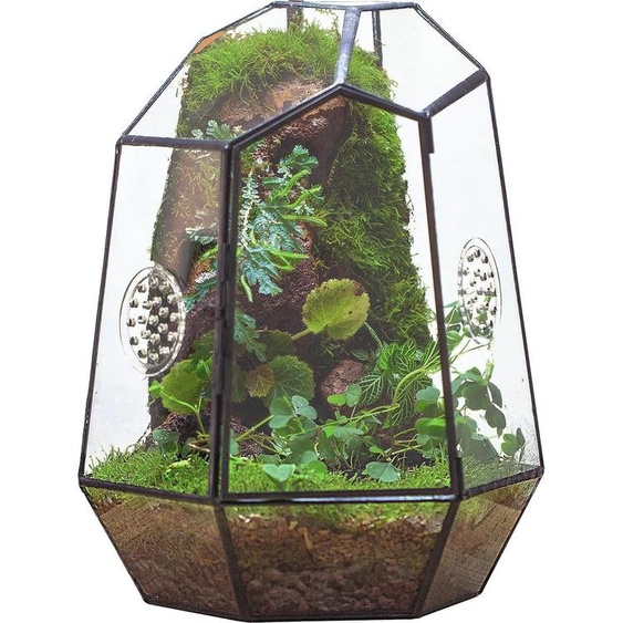 Terrarium géométrique en verre avec aération - Jardinière noire dintérieur