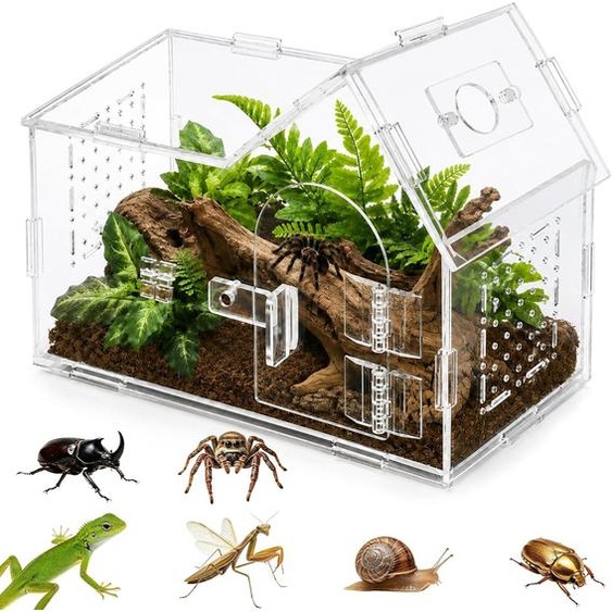 Terrarium pour reptiles, en acrylique transparent, avec des orifices de ventilation, offrant une vue à 360°, idéal pour lélevage