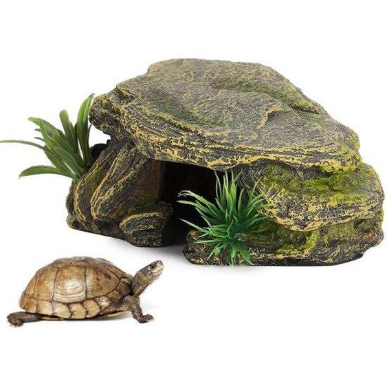 Terrarium pour reptiles et amphibiens - Écologique - Construction sûre - Vert - Décoration pour terrarium - Style naturel