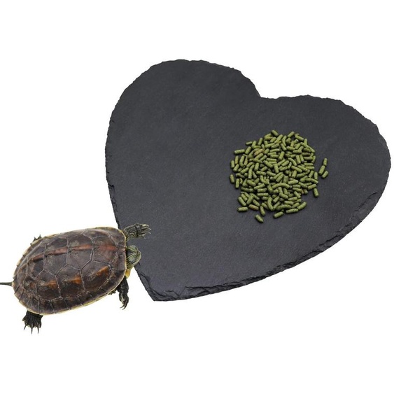Terrariums en pierre naturelle pour reptiles