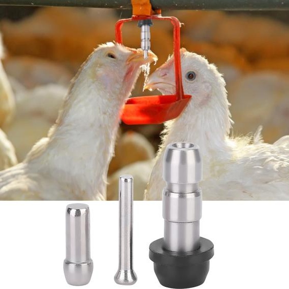 Tétine deau, tétine dabreuvement, abreuvoir pour volaille, tétine pour poulet, tétine dabreuvement automatique, accessoire pour bétail