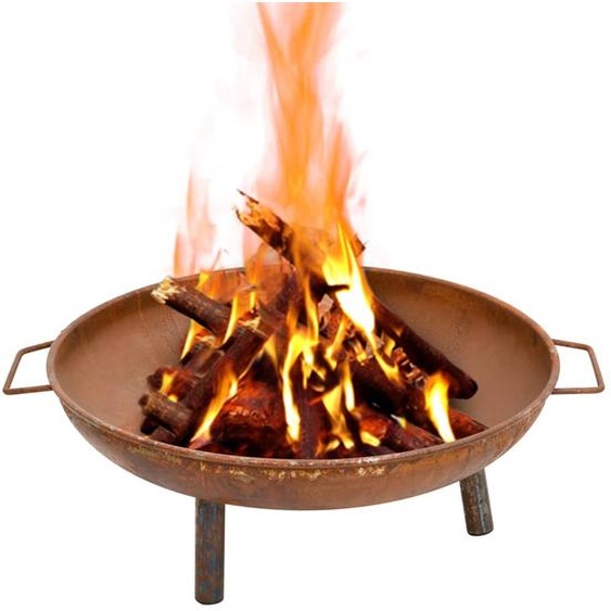 The Living Store Bac à feu 67,5x58x22,5 cm Acier