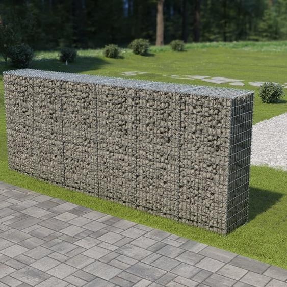 The Living Store Mur en gabions avec couverture Acier galvanisé 300×50×150 cm