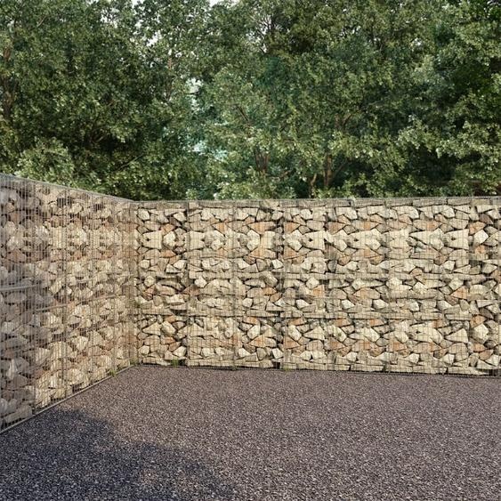 The Living Store Mur en gabions avec couverture Acier galvanisé 600×30×200 cm