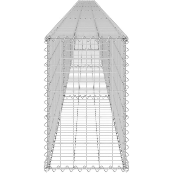 The Living Store Mur en gabions avec couverture Acier galvanisé 900x30x50 cm