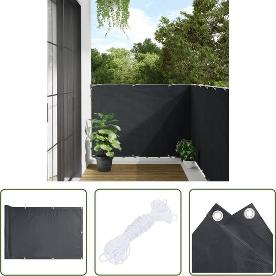 The Living Store Pare-vue de jardin Anthracite 600x120 cm PVC