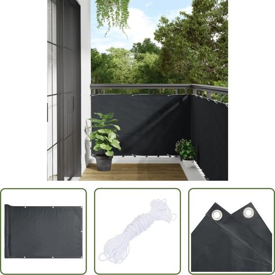 The Living Store Pare-vue de jardin Anthracite 600x90 cm PVC