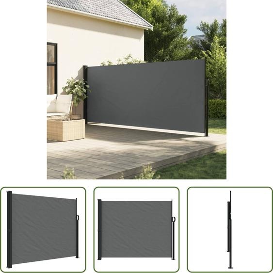 The Living Store Store latéral extensible Anthracite 160x600 cm