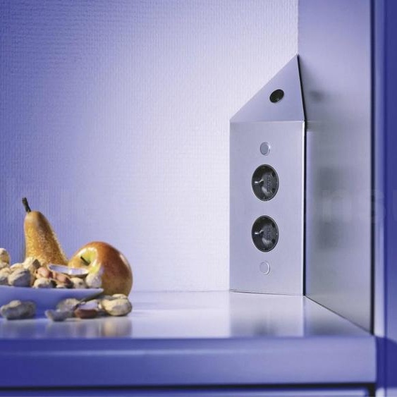 Thebo Prise dangle 17596/200/2C Acier inoxydable double STS 3007-2C avec interrupteur