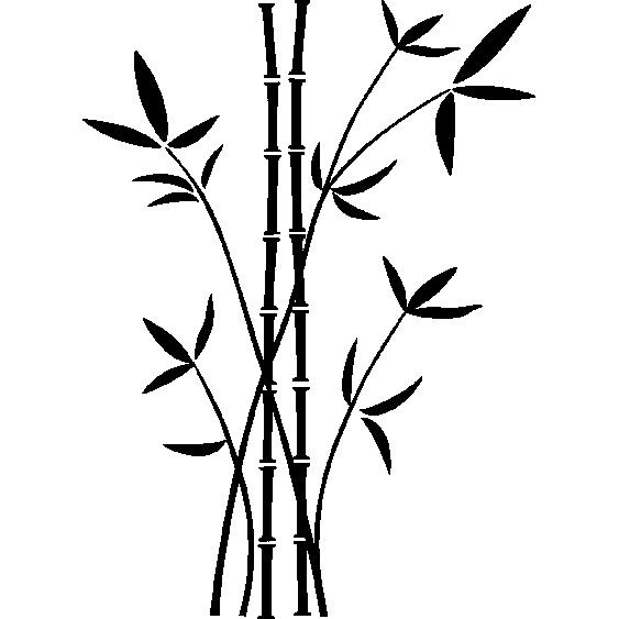 Tiges et feuilles de bambou