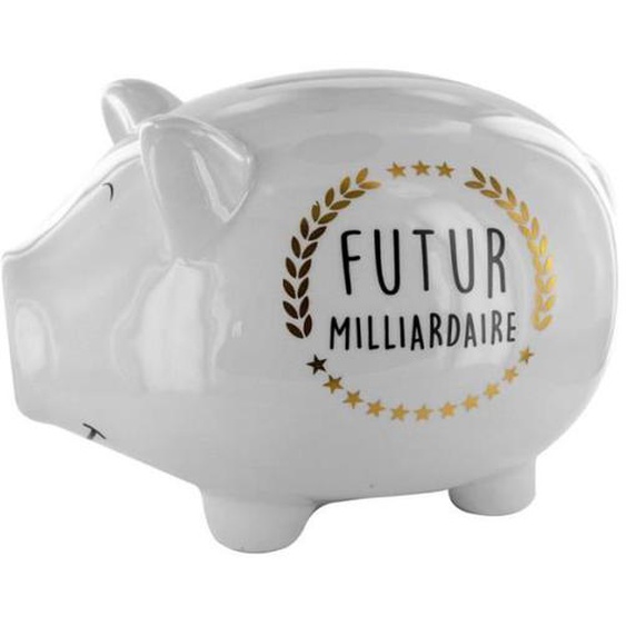 Tirelire Déco Cochon futur Milliardaire 27cm Blanc - Paris Prix