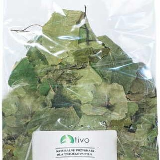 TIVO - Bouleau - Feuilles de bouleau pour tous les perroquets 150g