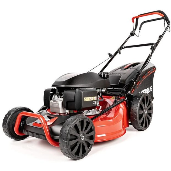 Tondeuse à essence robuste Cedrus 53 cm Honda GCV200 3-en-1 avec entraînement et bac de ramassage !