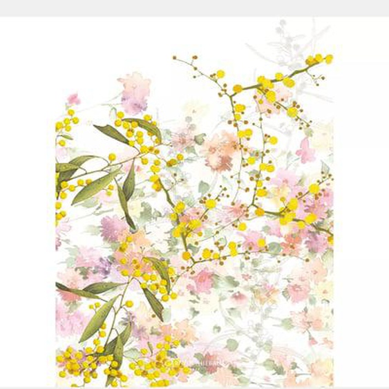 Torchon Mimosas floraison lavé