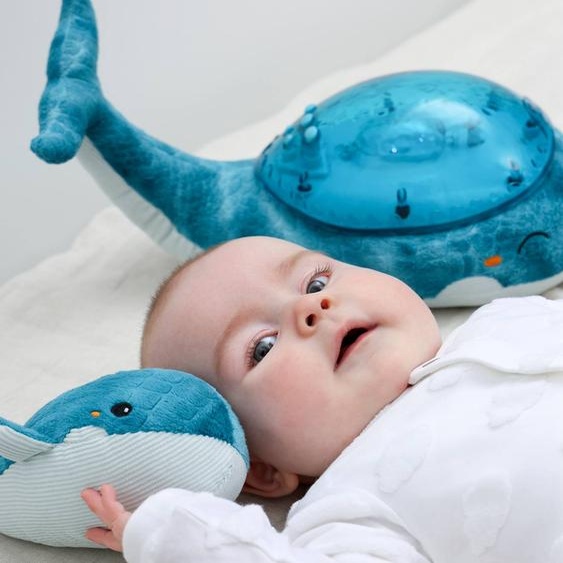 Tranquil Whale(TM) blue family
