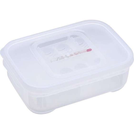 Transparent plastique professionnel Gecko Snakes lézards reptiles ufs incubateur plateau Hatcher Box