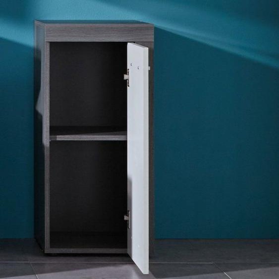 trendteam smart living 1259-802-03 Miami Meuble de Salle de Bain pour Dessous dévier Blanc Mélaminé/Argent Cendré 36,0 x 31,0 x 81,